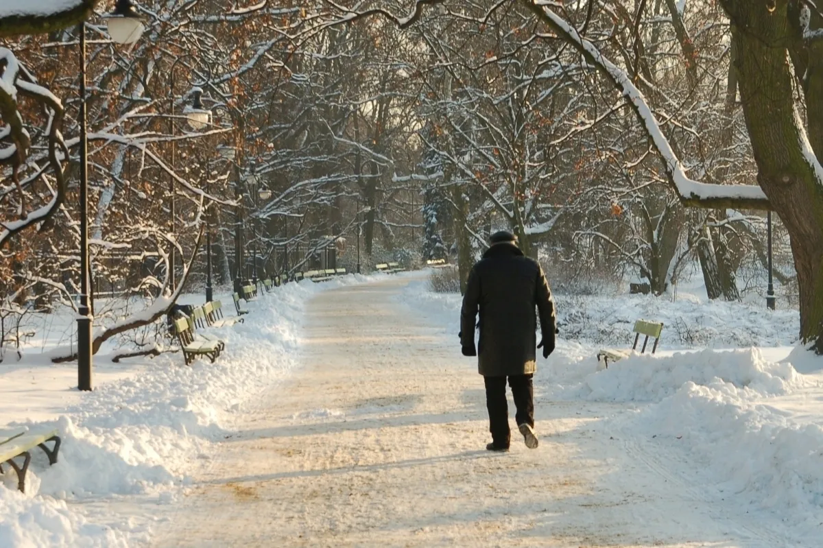 Solitary person walking down a snow-covered park path lined with benches